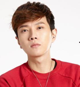 演员何孟怀,影视界璀璨新星，演绎人生百态