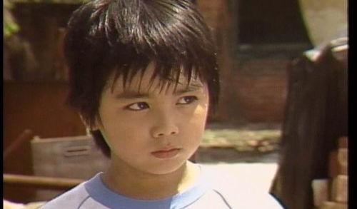 星星知我心演员现状,岁月流转，星途各异